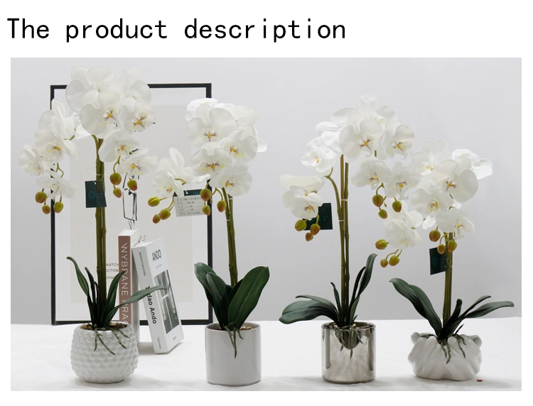 Wholesale Home Office Decorate Fabric Orchid Ceramic Potted Flower Artificial Decorative Orchid Flowers Butterfly White Orchid
