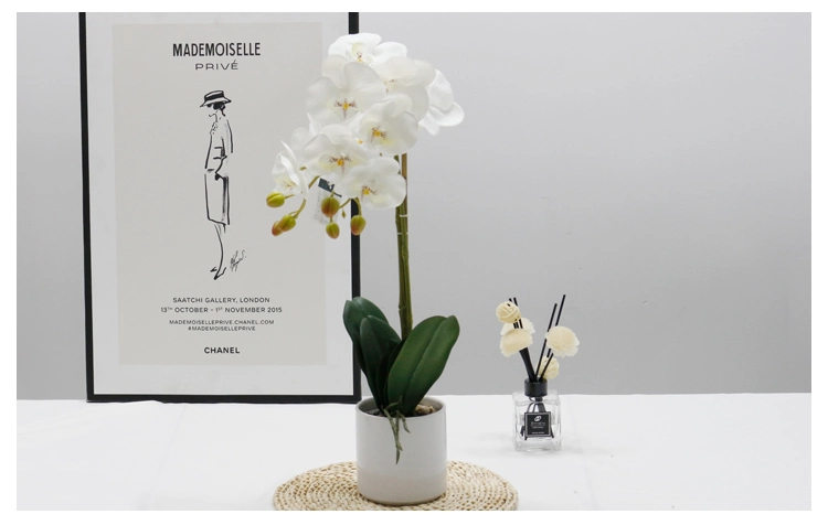 Wholesale Home Office Decorate Fabric Orchid Ceramic Potted Flower Artificial Decorative Orchid Flowers Butterfly White Orchid