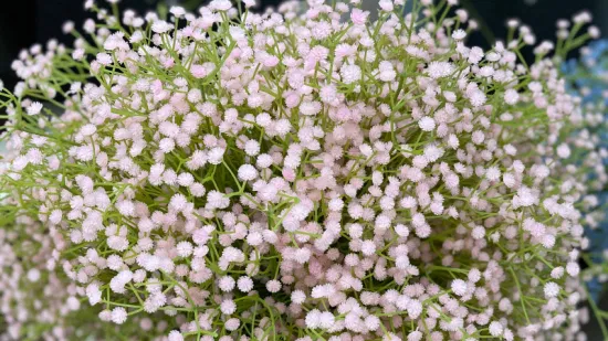 Fabrikpreis Künstliche Blume Gypsophila Babysbreath für Hochzeitsdekoration Hintergrund