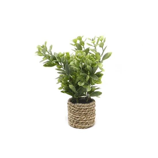 Heiß verkaufende künstliche Grünpflanze Bonsai gut